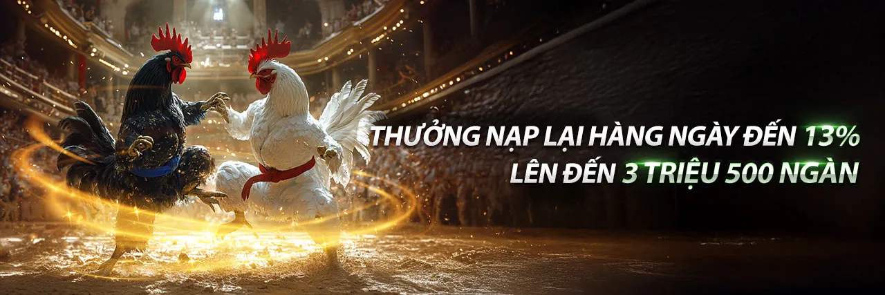 S8BET 2026 Khuyến Mãi Hấp Dẫn