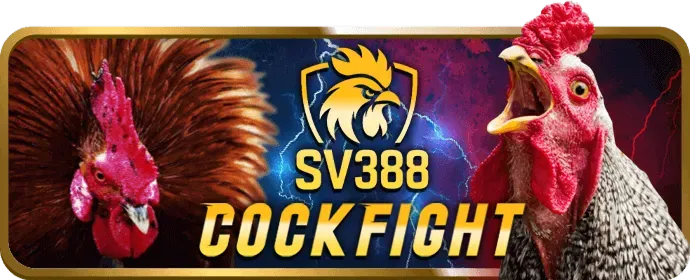 Hỗ trợ qua điện thoại s8bet